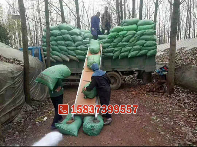 车载便携式皮带输送机