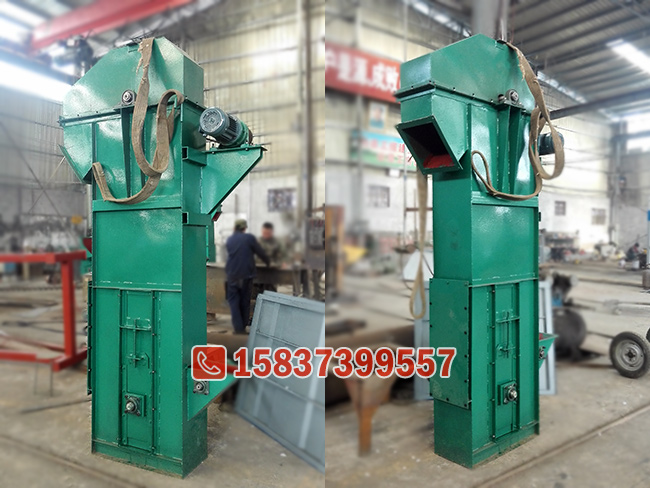 TD皮带斗式提升机